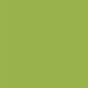 069 - medium yellowish Green; slightly greyish